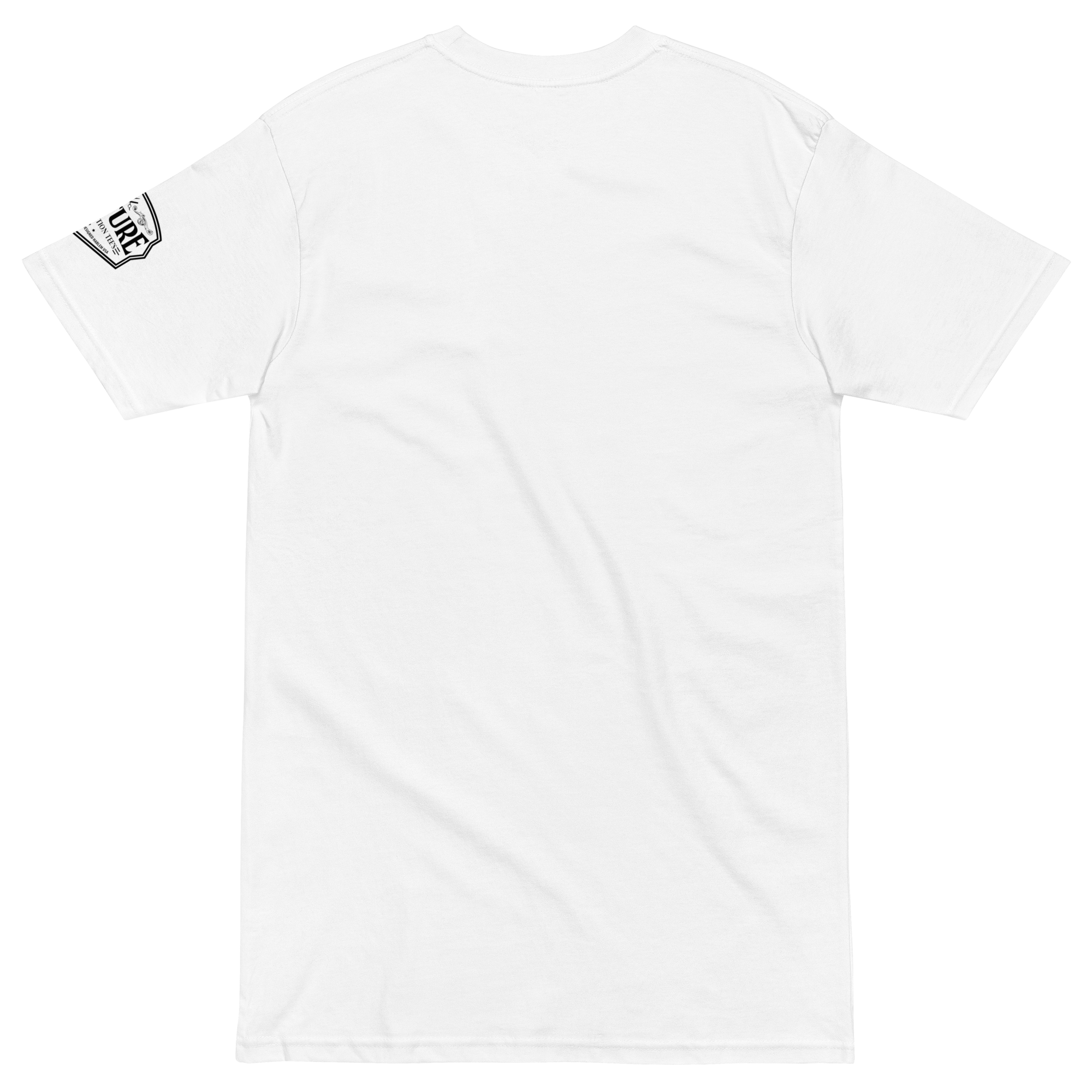 Culture Limited “Basquiat Spectrum” Heavyweight Tee – Men’s Oversized Streetwear - Culture Limited Edition Tees